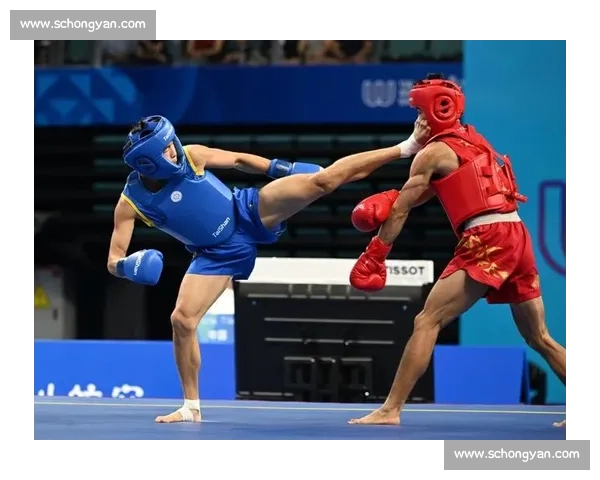 传统武术与现代搏击实力真相全面对比与发展之争擂台实战检验路径